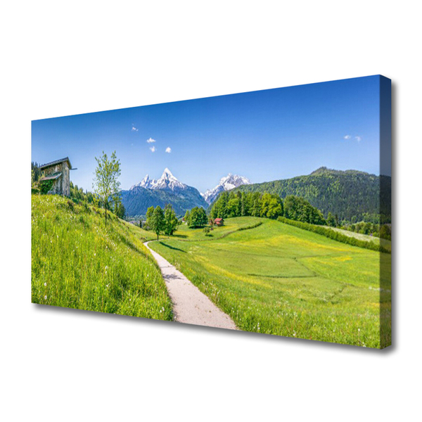 Canvas bild Mountains Meadow Path Valley