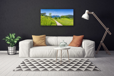 Canvas bild Mountains Meadow Path Valley