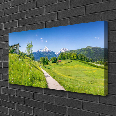 Canvas bild Mountains Meadow Path Valley