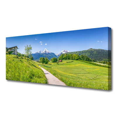 Canvas bild Mountains Meadow Path Valley