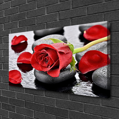 Fototryck canvas Röd rosblomma