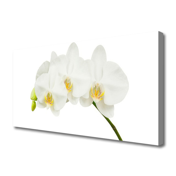 Fototryck canvas Orkidé skjuter Blommor Natur