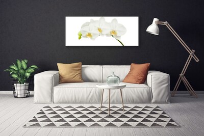 Fototryck canvas Orkidé skjuter Blommor Natur