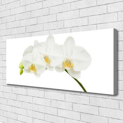 Fototryck canvas Orkidé skjuter Blommor Natur