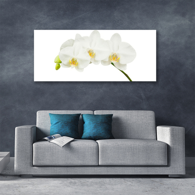 Fototryck canvas Orkidé skjuter Blommor Natur