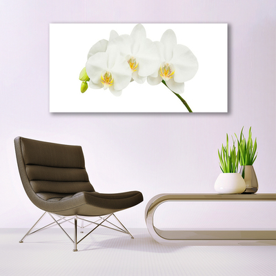 Fototryck canvas Orkidé skjuter Blommor Natur