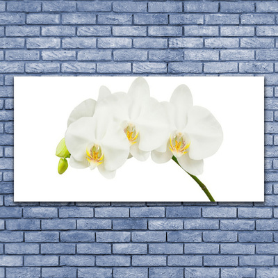 Fototryck canvas Orkidé skjuter Blommor Natur