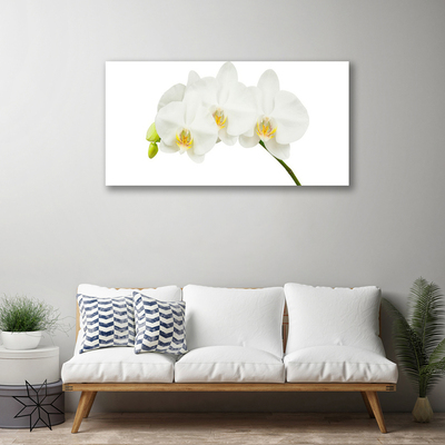 Fototryck canvas Orkidé skjuter Blommor Natur