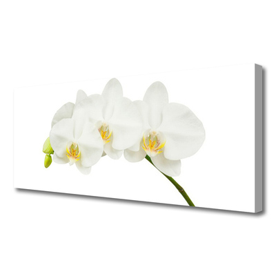 Fototryck canvas Orkidé skjuter Blommor Natur