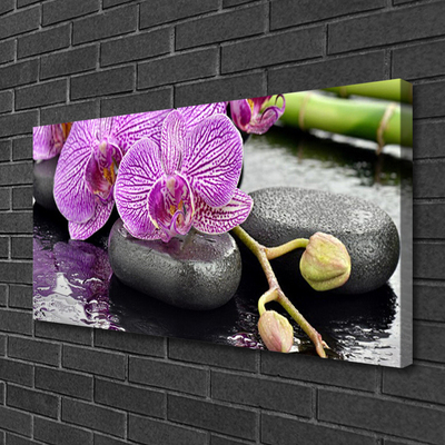 Fototryck canvas Orchid Zen Orchid Spa