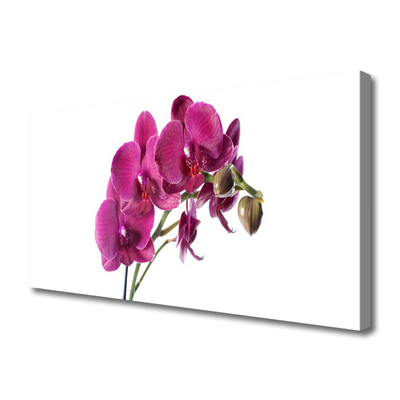 Canvas bild Orkidé Blommor Natur