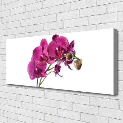 Canvas bild Orkidé Blommor Natur