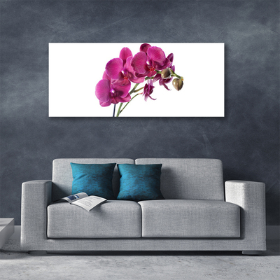 Canvas bild Orkidé Blommor Natur