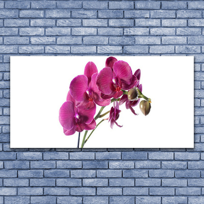 Canvas bild Orkidé Blommor Natur