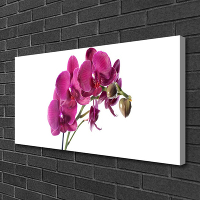 Canvas bild Orkidé Blommor Natur