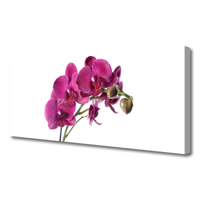 Canvas bild Orkidé Blommor Natur