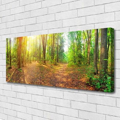 Fototryck canvas Sun Nature Forest Path