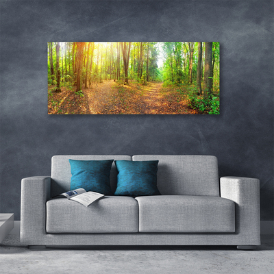 Fototryck canvas Sun Nature Forest Path