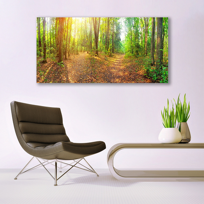 Fototryck canvas Sun Nature Forest Path