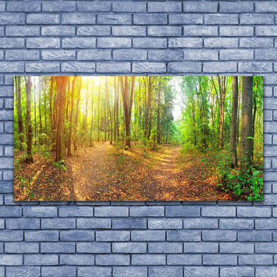 Fototryck canvas Sun Nature Forest Path