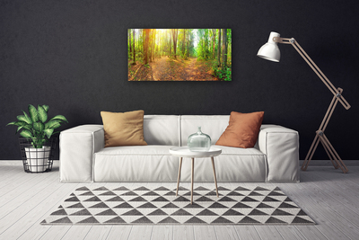 Fototryck canvas Sun Nature Forest Path