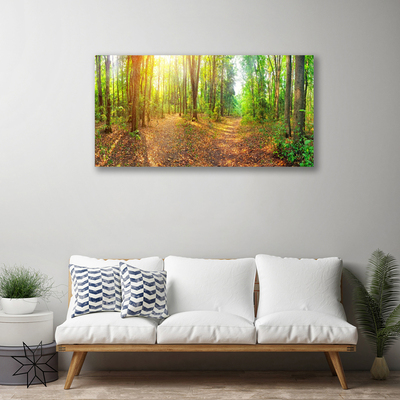 Fototryck canvas Sun Nature Forest Path