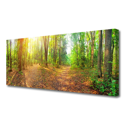 Fototryck canvas Sun Nature Forest Path