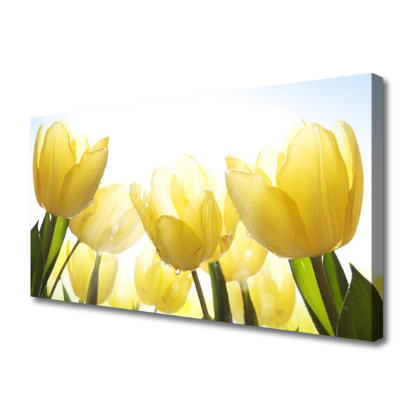 Canvastavla Tulpaner Blommor Strålar