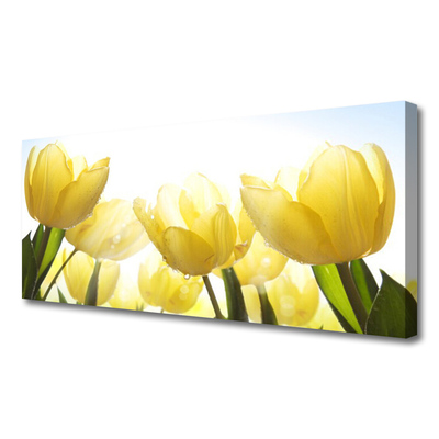Canvastavla Tulpaner Blommor Strålar
