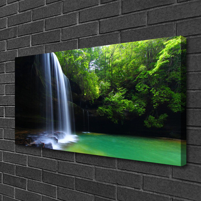 Canvas bild Vattenfall Natur Forest Lake