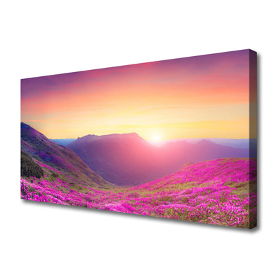 Bild canvas Sun Mountains Meadow Natur