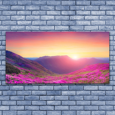 Bild canvas Sun Mountains Meadow Natur