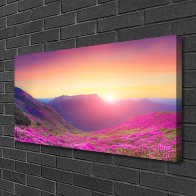 Bild canvas Sun Mountains Meadow Natur