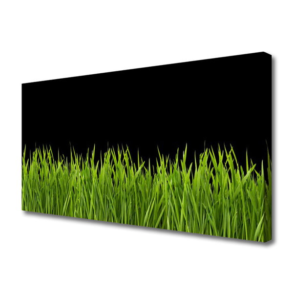 Fototryck canvas Grönt gräs Natur