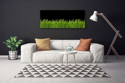 Fototryck canvas Grönt gräs Natur