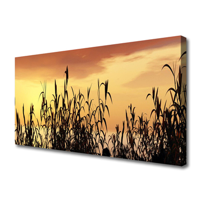 Fototryck canvas Lämnar solnedgång äng fält