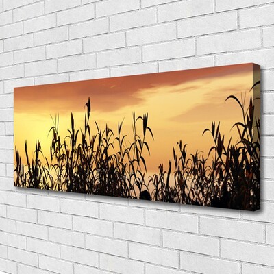 Fototryck canvas Lämnar solnedgång äng fält