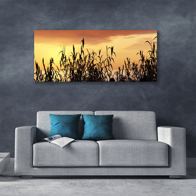 Fototryck canvas Lämnar solnedgång äng fält