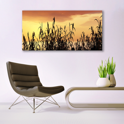 Fototryck canvas Lämnar solnedgång äng fält
