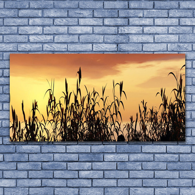 Fototryck canvas Lämnar solnedgång äng fält