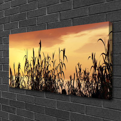 Fototryck canvas Lämnar solnedgång äng fält