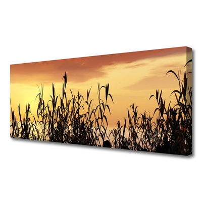 Fototryck canvas Lämnar solnedgång äng fält