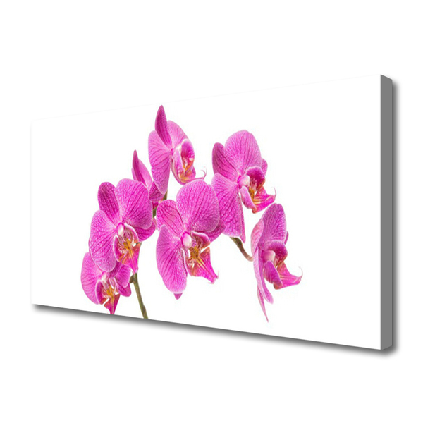 Canvas bild Orkidé Blommor Natur