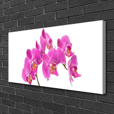 Canvas bild Orkidé Blommor Natur