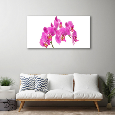 Canvas bild Orkidé Blommor Natur