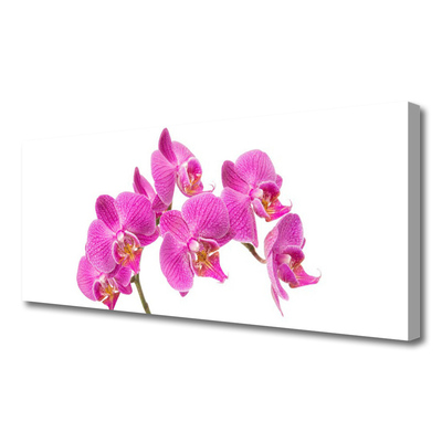 Canvas bild Orkidé Blommor Natur