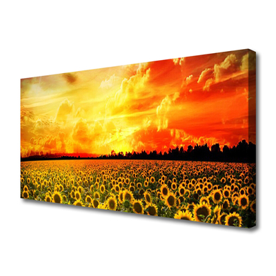 Bild canvas Äng Solrosor Blommor