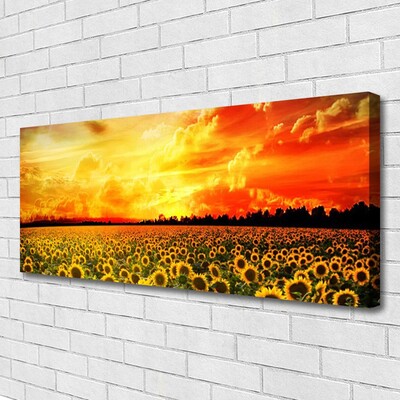 Bild canvas Äng Solrosor Blommor