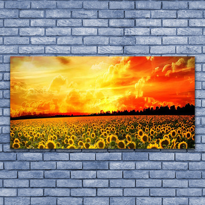 Bild canvas Äng Solrosor Blommor