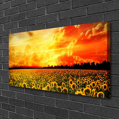 Bild canvas Äng Solrosor Blommor